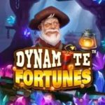 Dynamite Fortunes Slot: A Guide for Online Gamblers